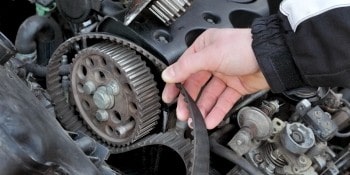 Timing Belts & Chains